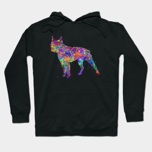 Boston terrier dog Hoodie